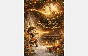 MEILLEURS VOEUX 2026